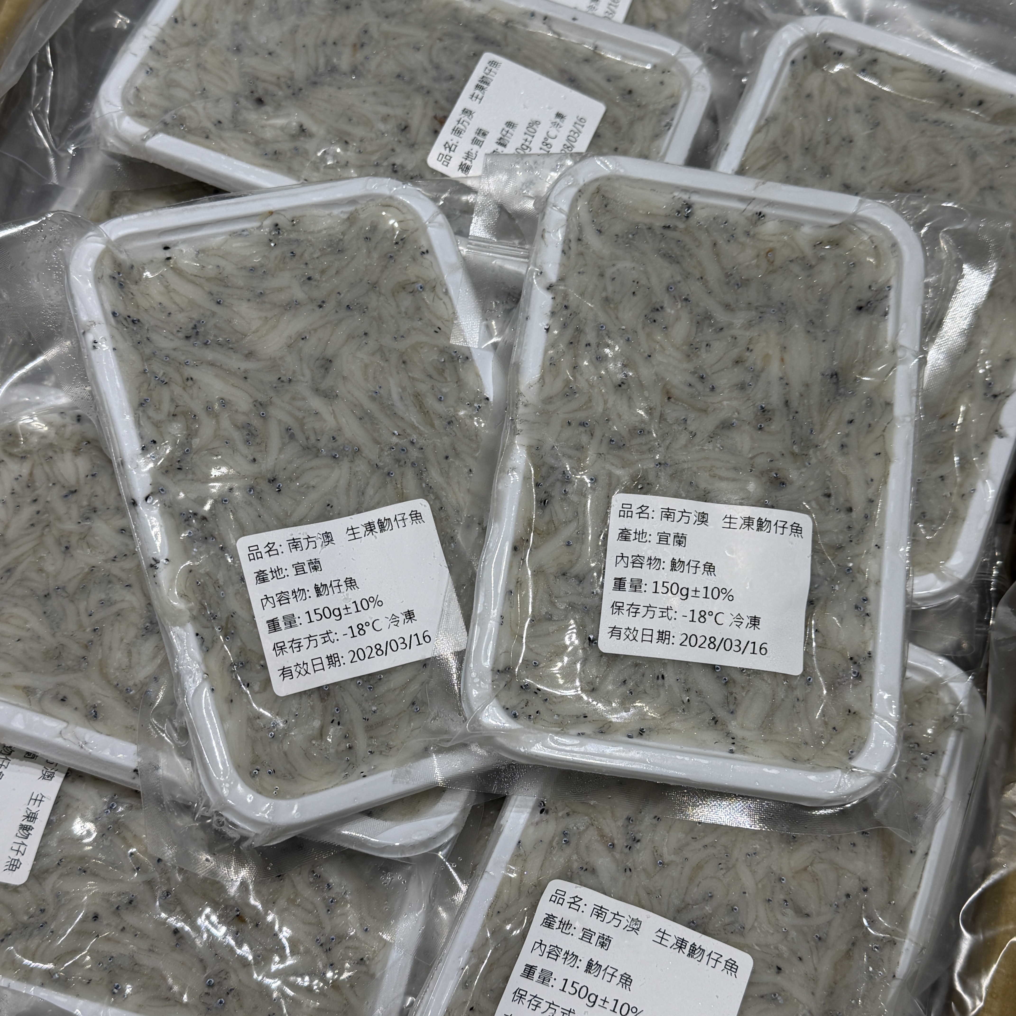 南方澳生吻仔魚
