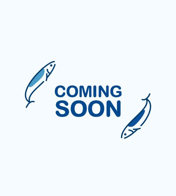 青蔥豬肉水餃 約50顆