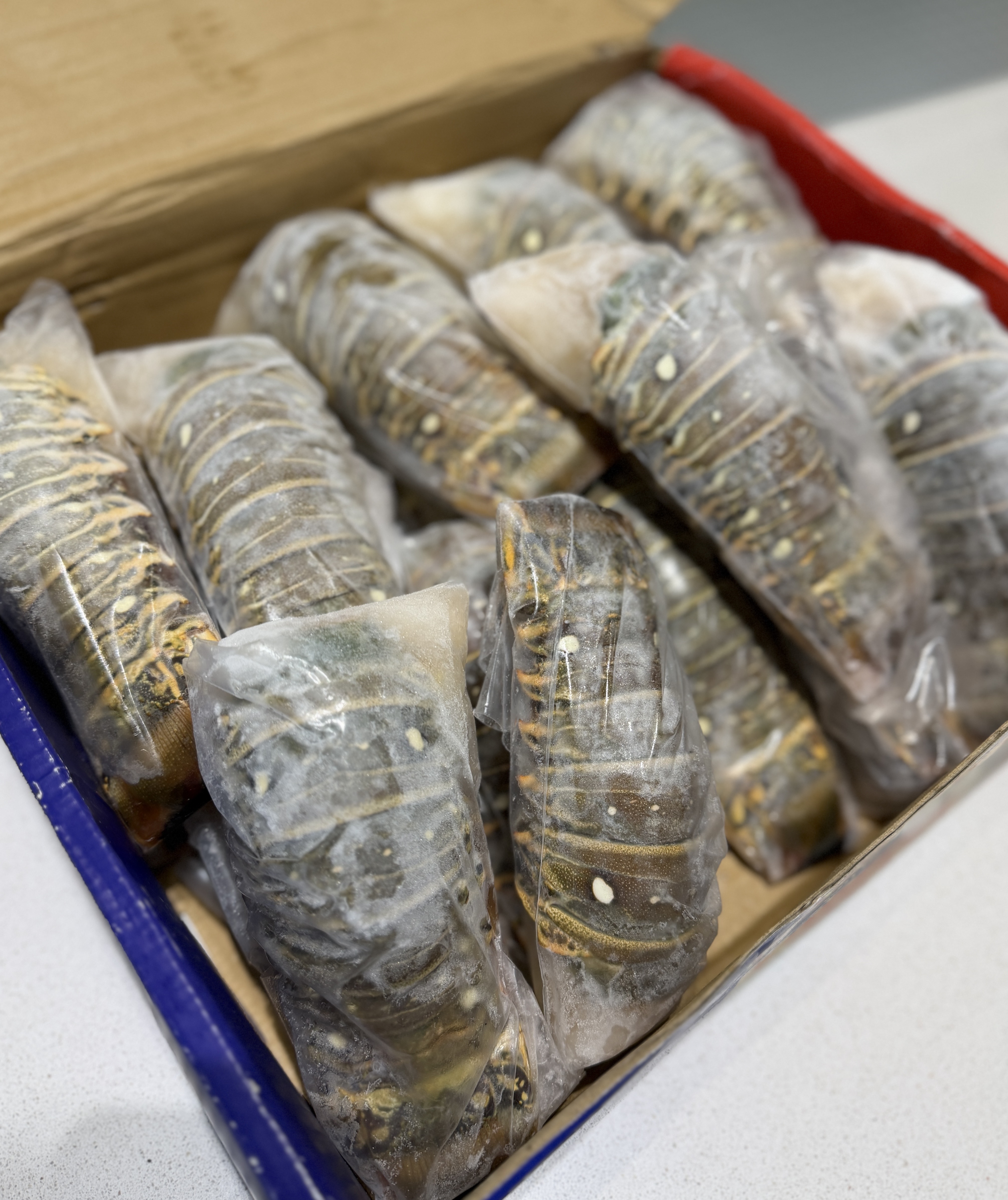 巴西生凍龍蝦尾