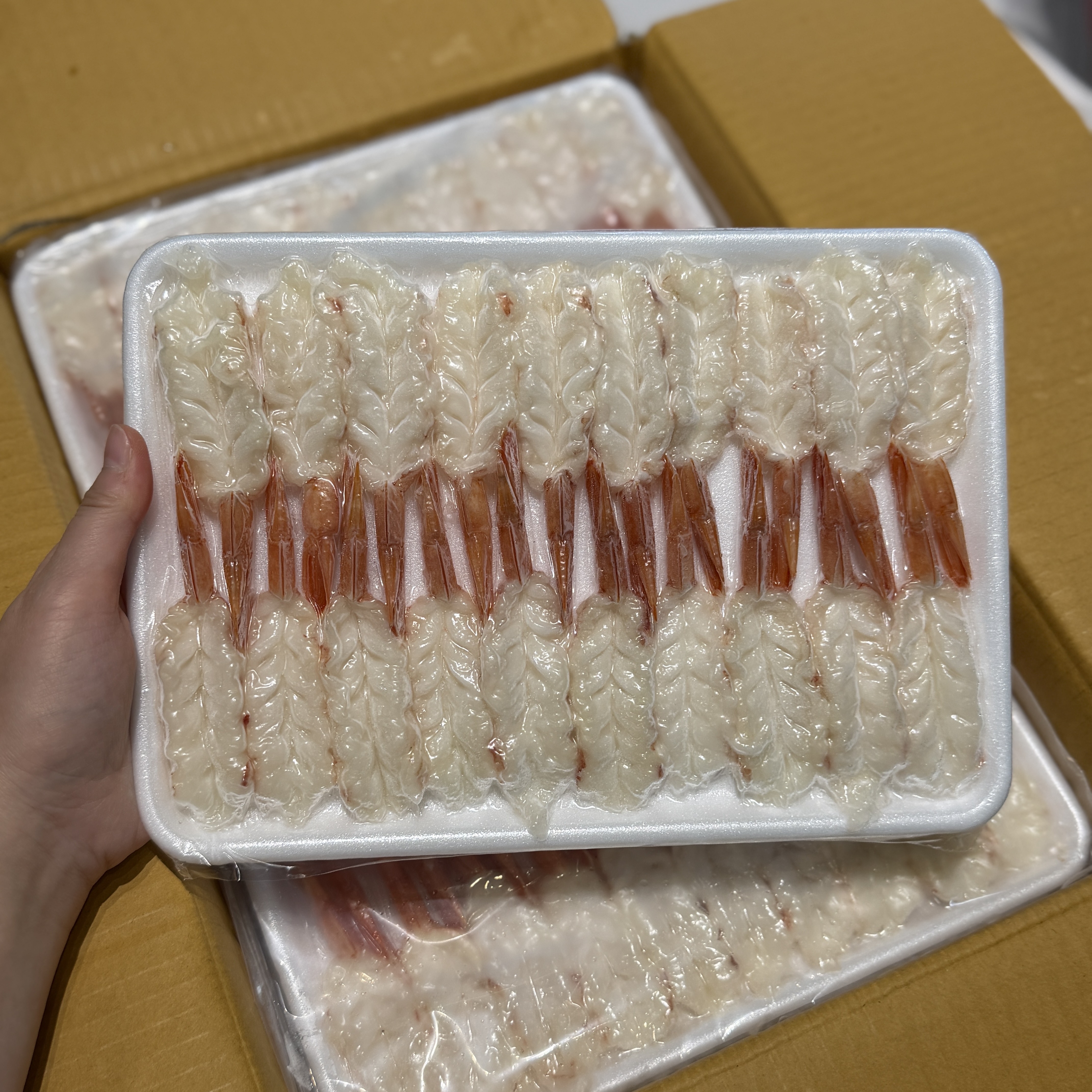 開背天使紅蝦