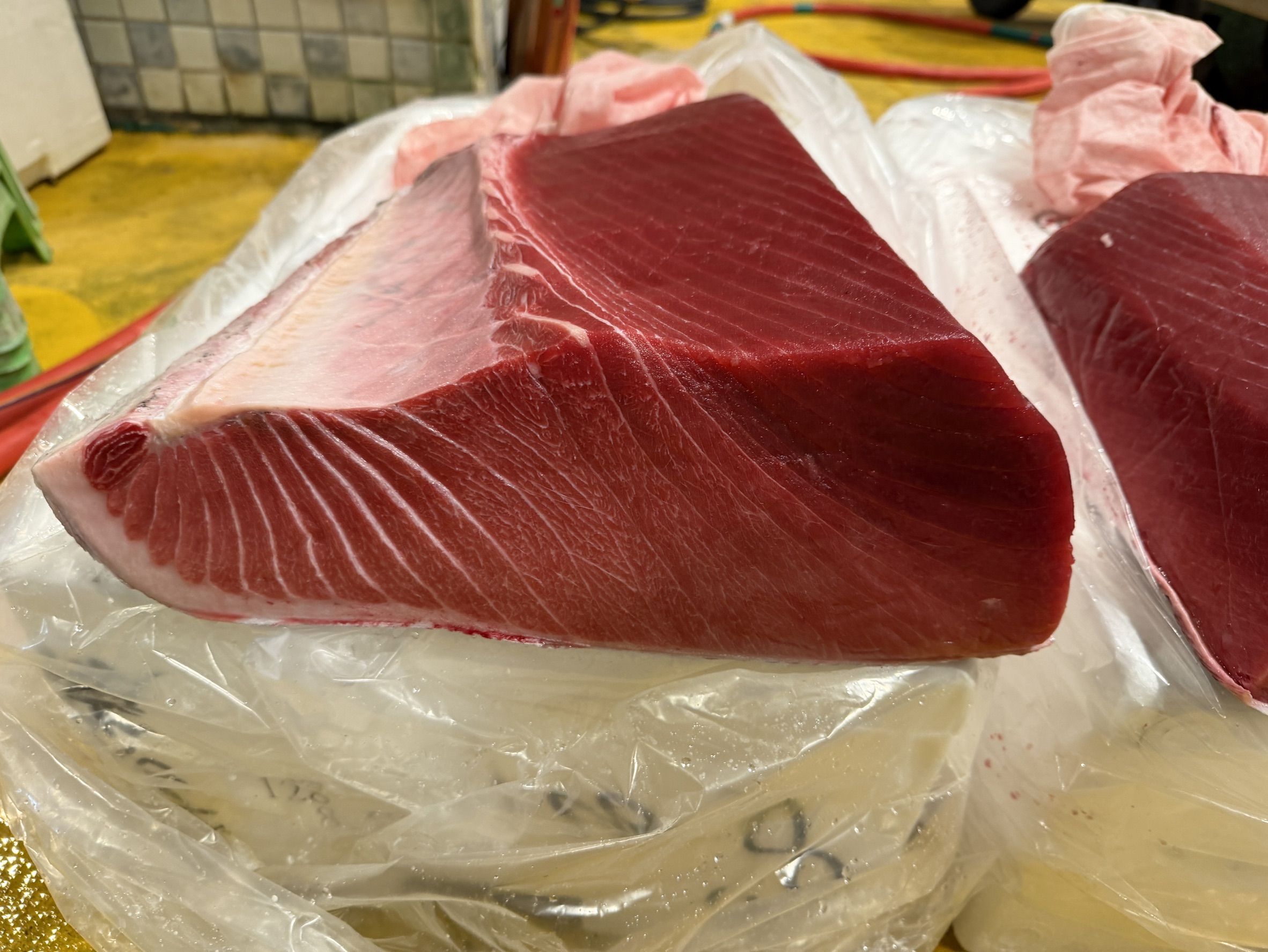 頂級黑鮪魚大腹生魚片12片