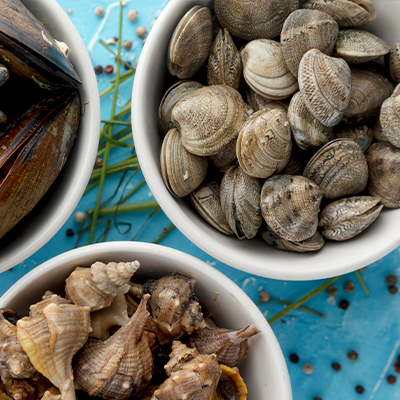 如何將文蛤吐沙吐的乾淨又新鮮